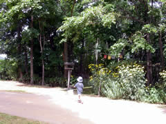 カムイの森公園