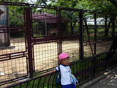 王子動物園のタンタン